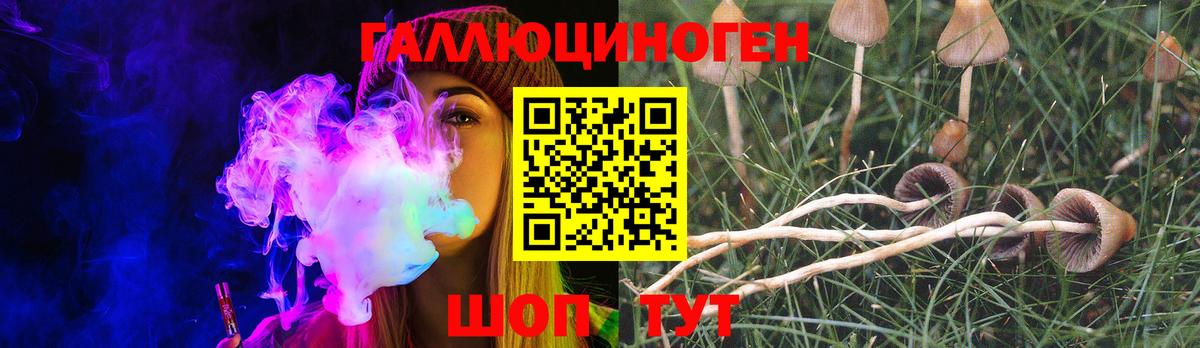 Рузаевка  Псилоцибиновые грибы Psilocybe  где найти наркотики  Вход с VPN 