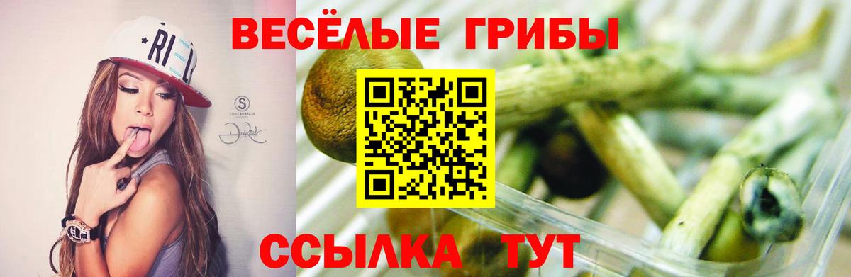 Псилоцибиновые грибы GOLDEN TEACHER Рузаевка